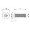 Pan head machine screw metal DIN 7985 [342-m] (342042040952)