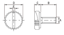 Transparent slotted knurled screw [176]